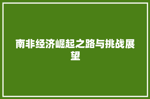 南非经济崛起之路与挑战展望 南非经济崛起之路与挑战展望