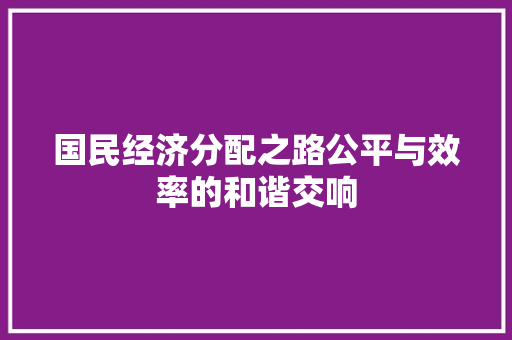 国民经济分配之路公平与效率的和谐交响 国民经济分配之路公平与效率的和谐交响