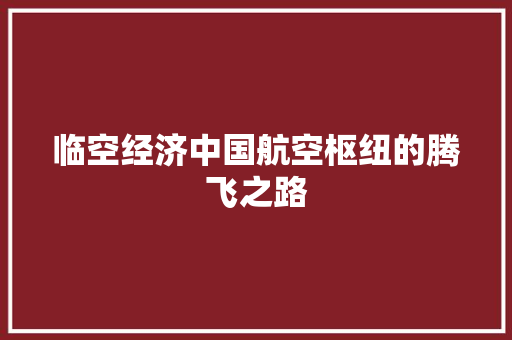 临空经济中国航空枢纽的腾飞之路 临空经济中国航空枢纽的腾飞之路