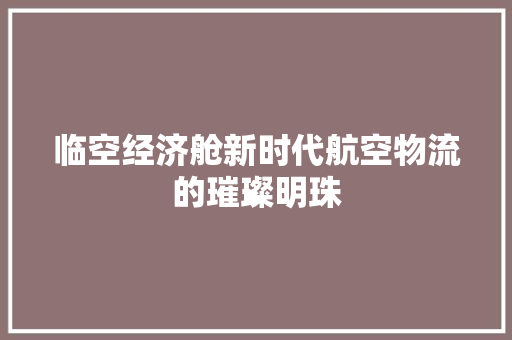 临空经济舱新时代航空物流的璀璨明珠 临空经济舱新时代航空物流的璀璨明珠