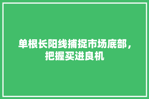 单根长阳线捕捉市场底部,把握买进良机 单根长阳线捕捉市场底部,把握买进良机