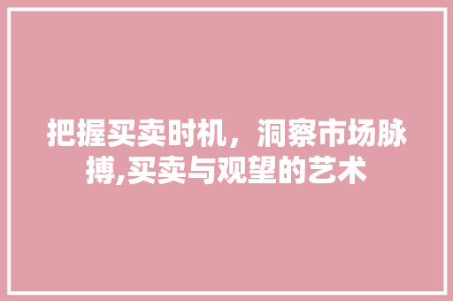 把握买卖时机,洞察市场脉搏,买卖与观望的艺术 把握买卖时机,洞察市场脉搏,买卖与观望的艺术