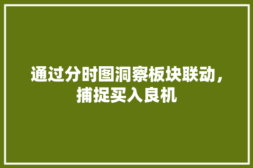 通过分时图洞察板块联动,捕捉买入良机 通过分时图洞察板块联动,捕捉买入良机