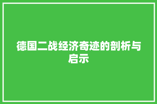 德国二战经济奇迹的剖析与启示 德国二战经济奇迹的剖析与启示