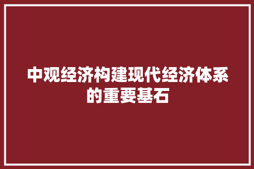 中观经济构建现代经济体系的重要基石 中观经济构建现代经济体系的重要基石