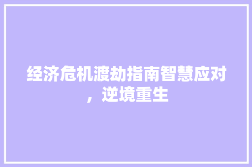 经济危机渡劫指南智慧应对,逆境重生 经济危机渡劫指南智慧应对,逆境重生
