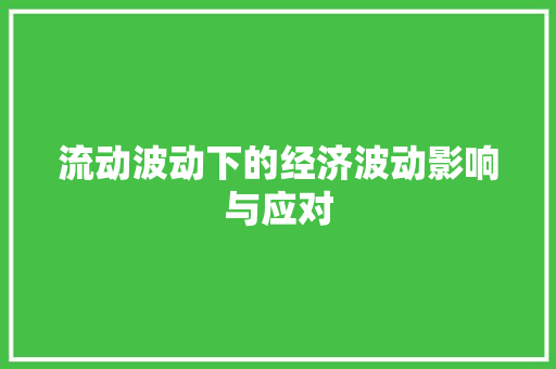 流动波动下的经济波动影响与应对