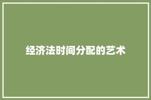 经济法时间分配的艺术 经济法时间分配的艺术