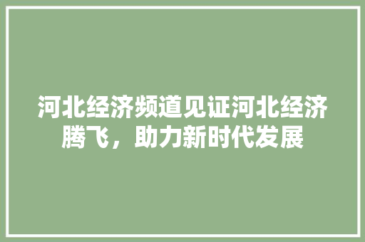 河北经济频道见证河北经济腾飞,助力新时代发展 河北经济频道见证河北经济腾飞,助力新时代发展