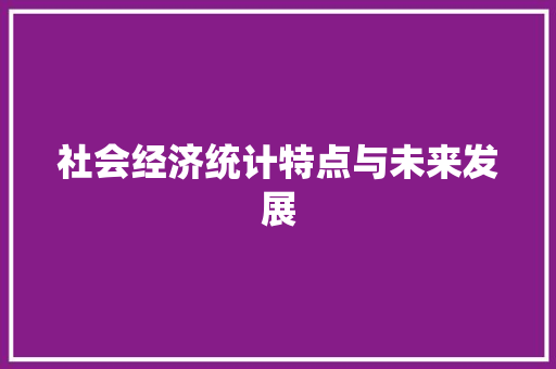 社会经济统计特点与未来发展