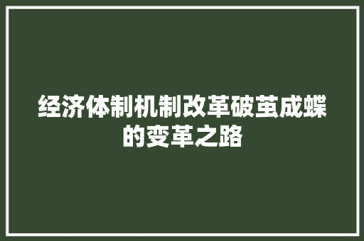 经济体制机制改革破茧成蝶的变革之路