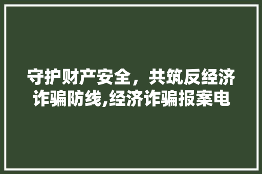 守护财产安全,共筑反经济诈骗防线,经济诈骗报案电话 守护财产安全,共筑反经济诈骗防线,经济诈骗报案电话