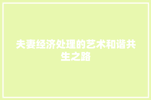 夫妻经济处理的艺术和谐共生之路