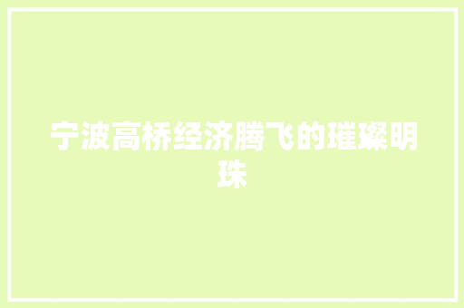 宁波高桥经济腾飞的璀璨明珠