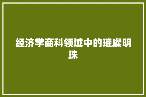 经济学商科领域中的璀璨明珠 经济学商科领域中的璀璨明珠
