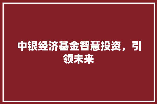 中银经济基金智慧投资,引领未来 中银经济基金智慧投资,引领未来