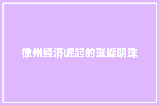 徐州经济崛起的璀璨明珠 徐州经济崛起的璀璨明珠