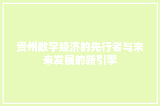 贵州数字经济的先行者与未来发展的新引擎