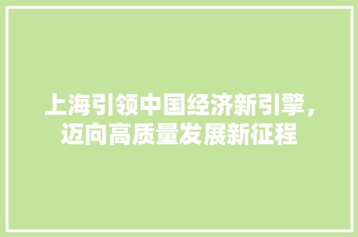 上海引领中国经济新引擎,迈向高质量发展新征程 上海引领中国经济新引擎,迈向高质量发展新征程
