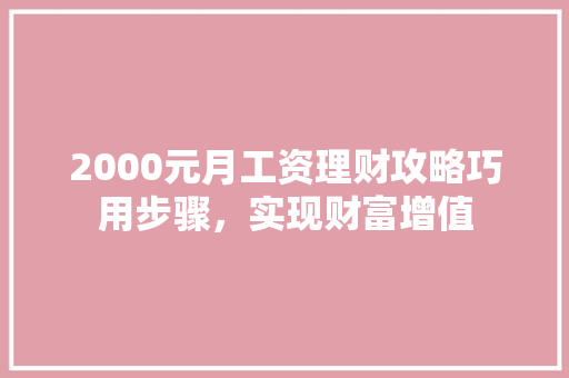 2000元月工资理财攻略巧用步骤,实现财富增值 2000元月工资理财攻略巧用步骤,实现财富增值