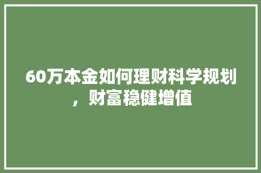 60万本金如何理财科学规划,财富稳健增值 60万本金如何理财科学规划,财富稳健增值