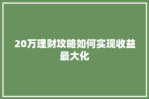 20万理财攻略如何实现收益最大化 20万理财攻略如何实现收益最大化