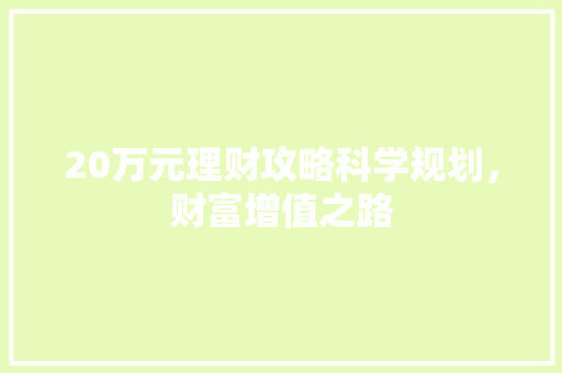 20万元理财攻略科学规划,财富增值之路 20万元理财攻略科学规划,财富增值之路