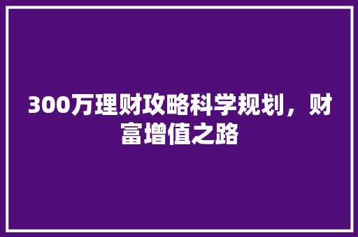 300万理财攻略科学规划，财富增值之路