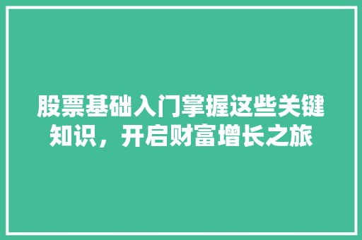 股票基础入门掌握这些关键知识,开启财富增长之旅 股票基础入门掌握这些关键知识,开启财富增长之旅