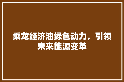 乘龙经济油绿色动力,引领未来能源变革 乘龙经济油绿色动力,引领未来能源变革