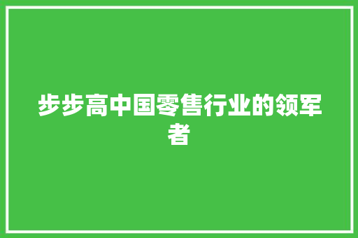 步步高中国零售行业的领军者 步步高中国零售行业的领军者