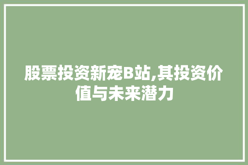 股票投资新宠B站,其投资价值与未来潜力 股票投资新宠B站,其投资价值与未来潜力