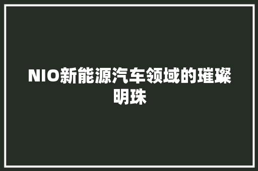 NIO新能源汽车领域的璀璨明珠 NIO新能源汽车领域的璀璨明珠