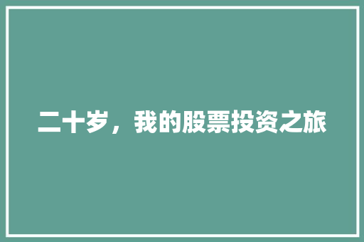 二十岁,我的股票投资之旅 二十岁,我的股票投资之旅