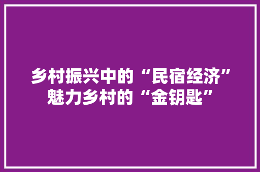 乡村振兴中的“民宿经济”魅力乡村的“金钥匙” 乡村振兴中的“民宿经济”魅力乡村的“金钥匙”