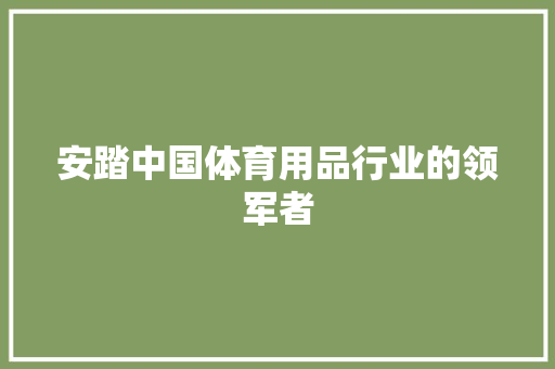 安踏中国体育用品行业的领军者 安踏中国体育用品行业的领军者