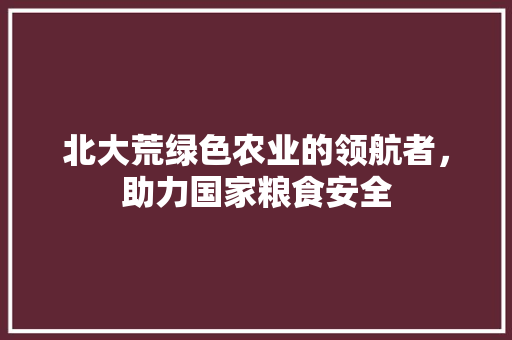 北大荒绿色农业的领航者，助力国家粮食安全