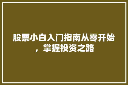 股票小白入门指南从零开始,掌握投资之路 股票小白入门指南从零开始,掌握投资之路