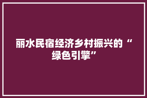 丽水民宿经济乡村振兴的“绿色引擎” 丽水民宿经济乡村振兴的“绿色引擎”