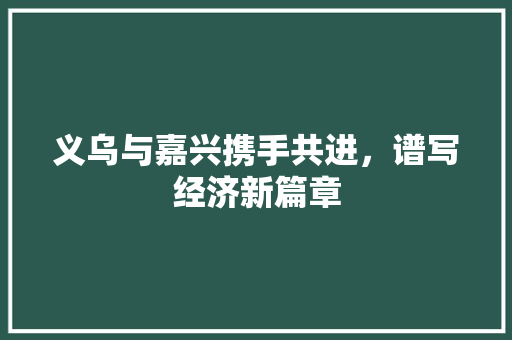 义乌与嘉兴携手共进，谱写经济新篇章