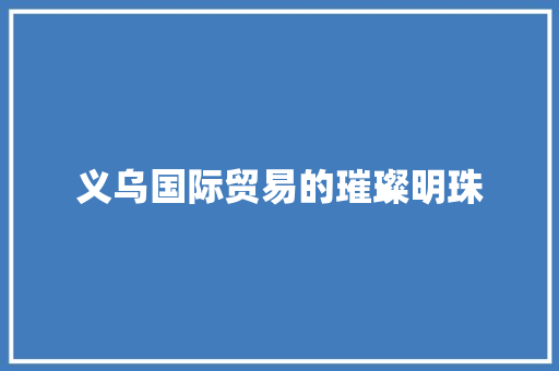 义乌国际贸易的璀璨明珠 义乌国际贸易的璀璨明珠