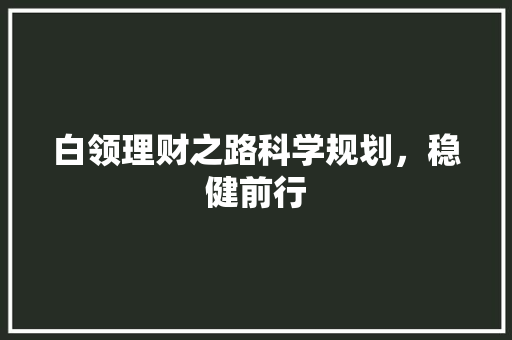 白领理财之路科学规划,稳健前行 白领理财之路科学规划,稳健前行