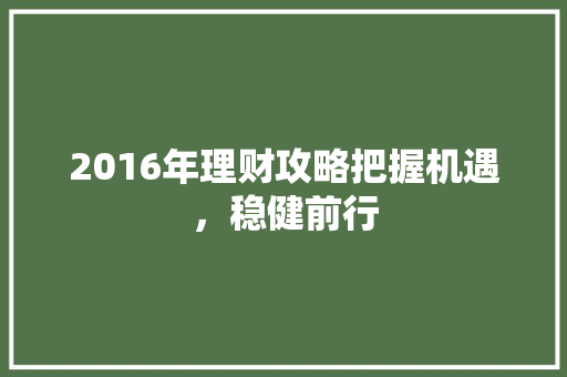 2016年理财攻略把握机遇,稳健前行 2016年理财攻略把握机遇,稳健前行