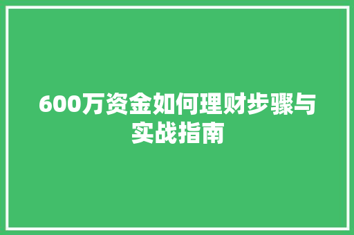 600万资金如何理财步骤与实战指南 600万资金如何理财步骤与实战指南