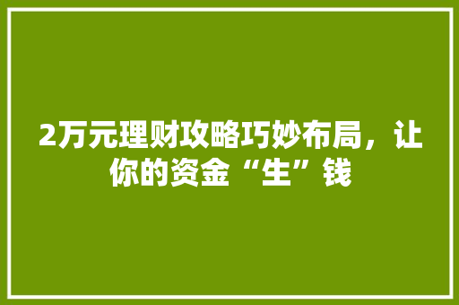 2万元理财攻略巧妙布局,让你的资金“生”钱 2万元理财攻略巧妙布局,让你的资金“生”钱