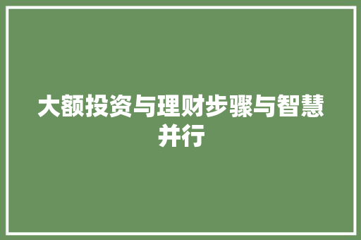 大额投资与理财步骤与智慧并行