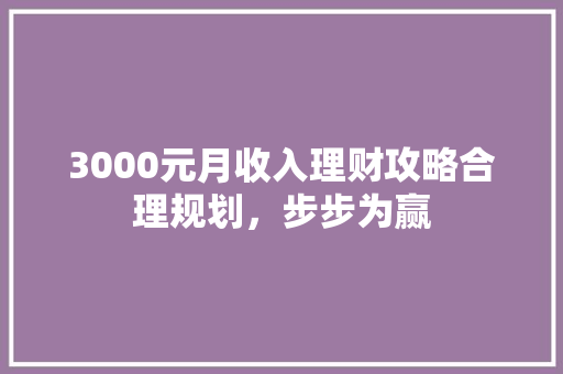 3000元月收入理财攻略合理规划,步步为赢 3000元月收入理财攻略合理规划,步步为赢