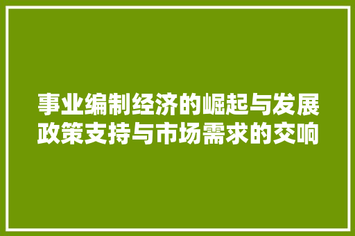事业编制经济的崛起与发展政策支持与市场需求的交响曲 事业编制经济的崛起与发展政策支持与市场需求的交响曲