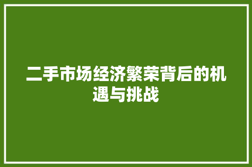 二手市场经济繁荣背后的机遇与挑战 二手市场经济繁荣背后的机遇与挑战