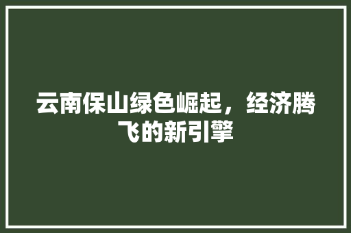 云南保山绿色崛起,经济腾飞的新引擎 云南保山绿色崛起,经济腾飞的新引擎